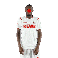 1 Fc Cologne Bundesliga Sticker by 1. FC Köln