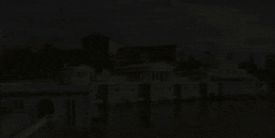 philadelphia pennsylvania GIF