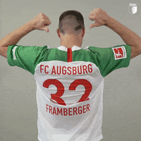 Football Soccer GIF by FC Augsburg 1907