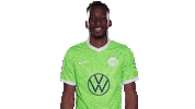 Happy Football Sticker by VfL Wolfsburg