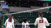celebration emueagles GIF by EMU Athletics