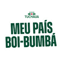 Parintins Boicaprichoso Sticker by Grupo Simões
