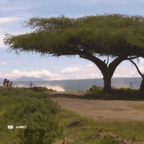 Jump Jumping GIF by FIA World Rally Championship
