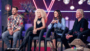 Little Big Town Agree GIF by The Voice