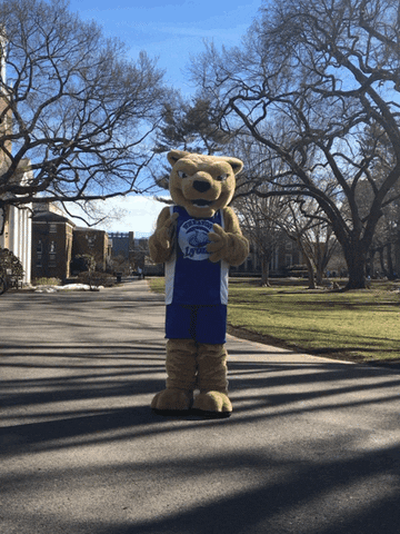 surprise mascot GIF by Wheaton College (MA)