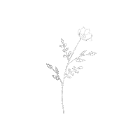 Flower Plants Sticker