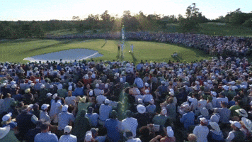 Rory Mcilroy Win GIF by TheDreamTeam 