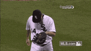 cws GIF by MLB