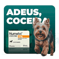 Numelvi Sticker by MSD Família Pet