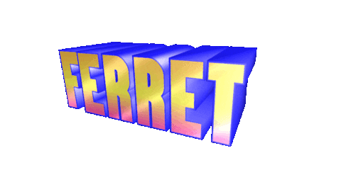giphyupload text animal wordart ferret Sticker