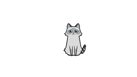 Cat Pet Sticker by ClaireaBella