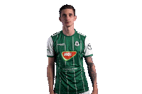 Football Sport Sticker by FORTUNA:LIGA