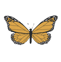 Butterfly Forest Sticker