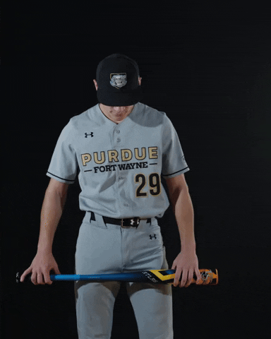 Baseball Dons GIF by Purdue Fort Wayne Athletics