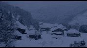 Movie Title Snow GIF by Arrow Academy