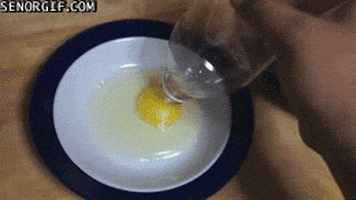 eggs bottles GIF by Cheezburger