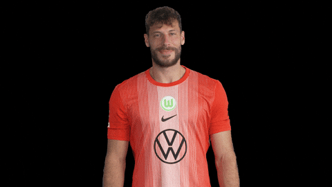 Germany No GIF by VfL Wolfsburg