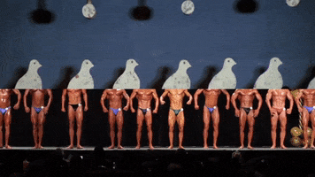 cat power cassius official GIF by CASSIUS