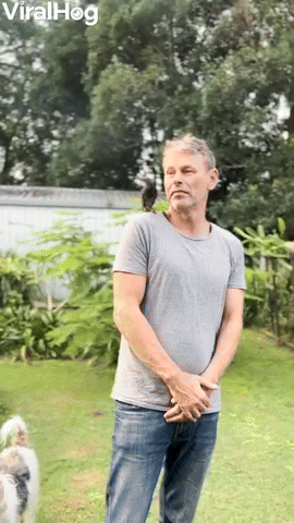 Starling Crashes Family BBQ