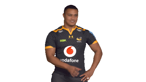 Rugby Sticker by Wasps