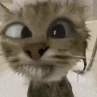 Cat Sticker GIF