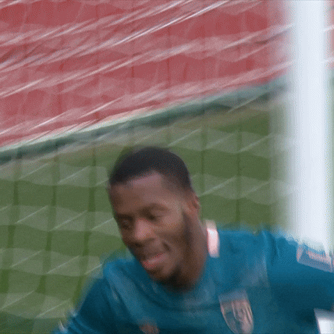 Premier League Football GIF by AFC Bournemouth