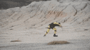 people-vultures GIF by King Gizzard & The Lizard Wizard