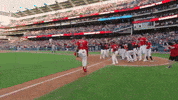 Celebrate Home Run GIF by MLB