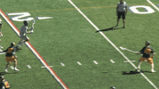 Air Force GIF by Air Force Falcons