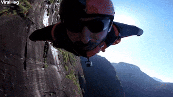 Wingsuit Flight With Treetop Waiting Time
