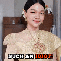 Idiot Wtf GIF