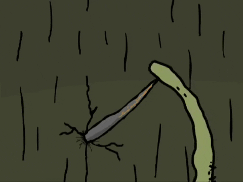 s&m pain GIF by David Firth