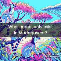 Island Evolution GIF by ExplainingWhy.com