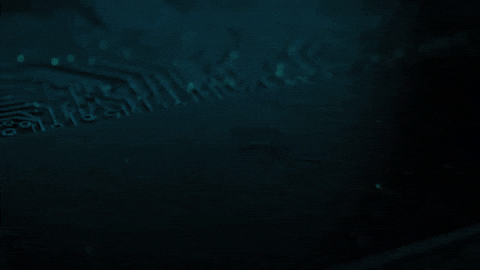GIF by notgpt