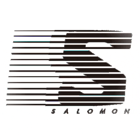 Salomonsnowboards giphygifmaker salomon snowboards GIF