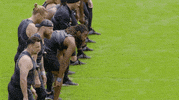 Mtv Reality GIF by CBS