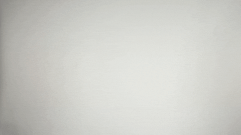 Swag Bros GIF by Copenhagen Flames