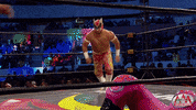 GIF by Lucha Libre AAA