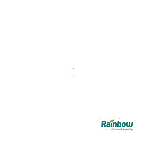 Rainbow Sticker by rainbowagrobrasil