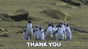 GIF by Andrea