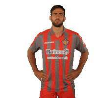 Serie B Football Sticker by Pro Cremona