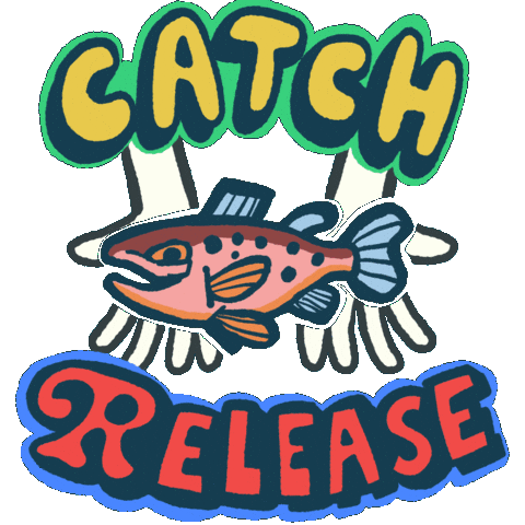 Catch And Release Sticker by recast market