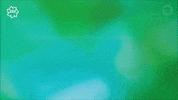 GIF by Kino Pavasaris