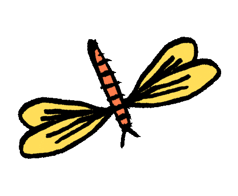 Insect Dragonfly Sticker