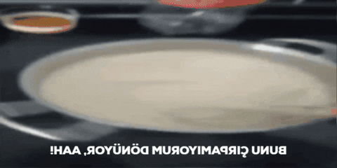 ReggieBeyy giphygifmaker GIF