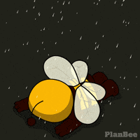 Sad Excuse Me GIF by Plan Bee Studios
