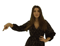 Plonergifs Sticker by PlonerCom