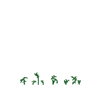 Balletdancer Sticker