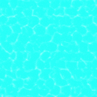 nicofon sunshinelive sunshineliveradio radiosunshinelive sunshine live GIF