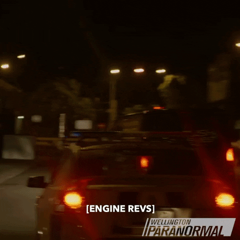 Minogue Crazy Driver GIF by Wellington Paranormal